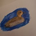 Image client Crayon aquarelle Albrecht D�rer - 247 Bleu Indanthr�ne