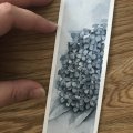 Image client Peinture aquarelle W&N Professional Demi-tasse - 465 Payne's gray