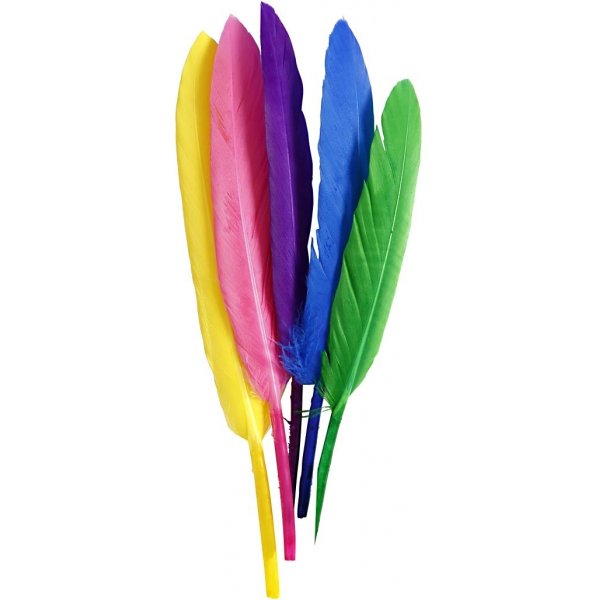 Plumes - couleurs mlanges - 48 pcs