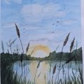Image client Peinture aquarelle W&N Cotman Tube 8ml - 119 Jaune de cadmium teinte pâle
