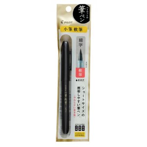 Stylo de calligraphie Pilot V-Sign Stylo de calligraphie Pilot V-Sign