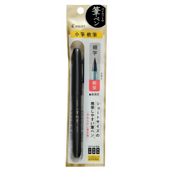 Stylo de calligraphie Pilot V-Sign