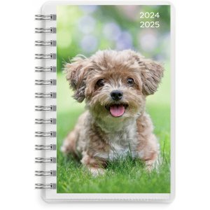 Calendrier 24/25 Compact - Animaux Calendrier 24/25 Compact - Animaux