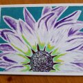 Image client Peinture acrylique Campus 100 ml - Blanc de Titane (116)