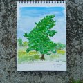 Image client Canson XL Aquarelle 300g - A5