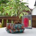 Image client DAS Argile 1 kg Terre Cuite
