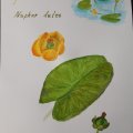 Image client Canson XL Aquarelle 300g - A3