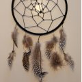 Image client Plumes de pintade 40 - 80 mm - naturelles 3 g ~ 36 pcs.