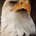 Image client Bloc acrylique Hahnem�hle 330g - 24x32cm