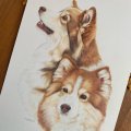 Image client Bloc Aquarelle Collé Pressé à Chaud Arches 300g - A4