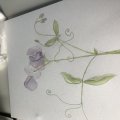 Image client Bloc aquarelle Sense 200g - A4