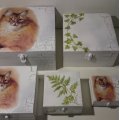 Image client Coffret en bois 22 x 14 x 10,2 cm - non traité 4 pièces