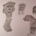 Image client Stylo gomme Faber-Castell - Graphite