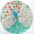 Image client Stylo aquarelle Mondeluz - Boite carton 36 stylos