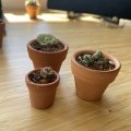 Image client Pots en terre cuite 4 cm - paquet de 10