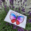 Image client Carte à coudre 17x11 cm 48 pcs/fp
