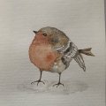 Image client Aquarelle W&N Cotman Demi-Tasse - 609 S�pia