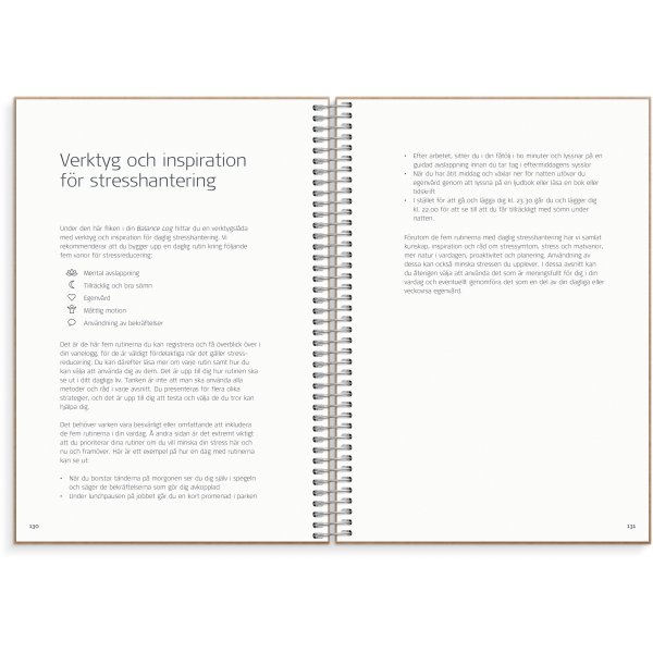 Journal de solde Journal de solde