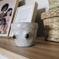 Image client Champignon naturel