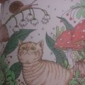 Image client Crayons de couleur Progresso - 12 crayons