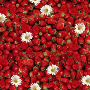 Bâche PVC Fraise Bâche PVC Fraise