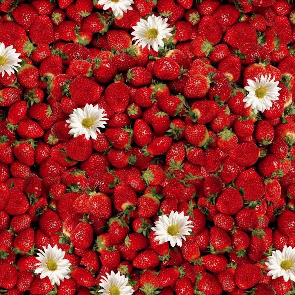 Bche PVC Fraise