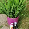 Image client Peinture en aérosol - Brillant (brillant) - Montana - 400 ml