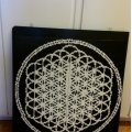 Image client Perles 6000 pcs blanches