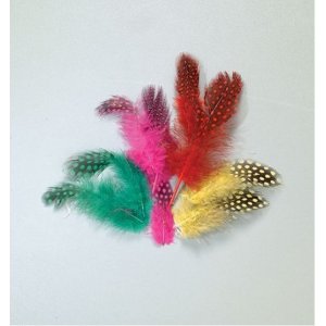 Plumes de pintade 40 - 80 mm - plusieurs couleurs mélangées 3 g ~ 36 pcs. Plumes de pintade 40 - 80 mm - plusieurs couleurs mélangées 3 g ~ 36 pcs.
