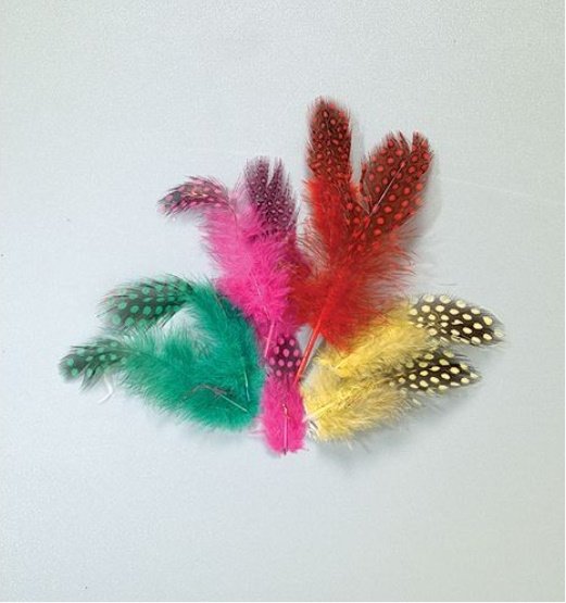 Plumes de pintade 40 - 80 mm - plusieurs couleurs mélangées 3 g ~ 36 pcs. Plumes de pintade 40 - 80 mm - plusieurs couleurs mélangées 3 g ~ 36 pcs.