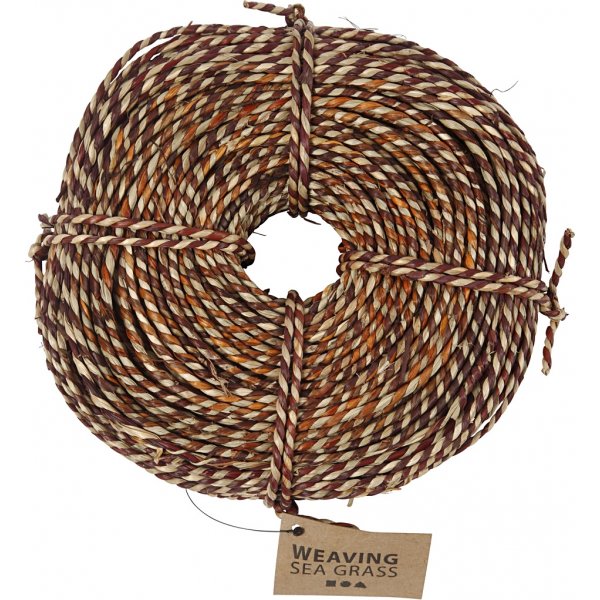 Algues - brunes - 500 g