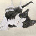 Image client Crayon de couleur Polychromos - 199 Noir