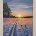 Image client Peinture acrylique W&N Galeria 500ml - 644 Blanc de titane