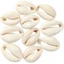 Coquillages - naturels - 12 pcs