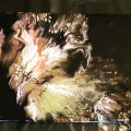 Image client Flacon vide - 200 ml avec buse de peinture