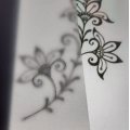 Image client 