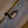Image client Crayon aquarelle Albrecht D�rer - 249 Mauve
