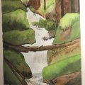 Image client Peinture aquarelle W&N Professional Tube 5ml - 503 Vert de sève permanent