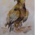 Image client Bloc Aquarelle Coll� Rough Grove Arches 300g - A4