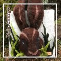 Image client Ouate 250g - Marron