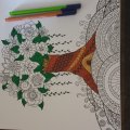 Image client Livre de coloriage Artist Sense - 50 feuilles