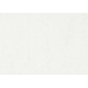 Papier aquarelle - blanc - A4 - 300 g - 100 feuilles Papier aquarelle - blanc - A4 - 300 g - 100 feuilles