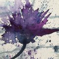 Image client Peinture aquarelle W&N Professional Tube 5ml - 322 Indigo
