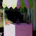 Image client Tissu coton / Tissu en drap / Tissu uni - Code couleur : 710 - citron vert - 150 cm