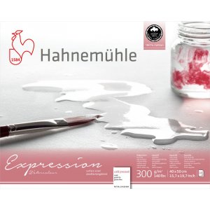 Bloc aquarelle Expression 300g Bloc aquarelle Expression 300g
