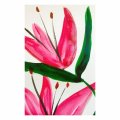 Image client Peinture aquarelle W&N Cotman Demi-tasse - 580 Rose garance