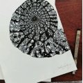Image client Ensemble Fineliner Pigma Micron - 10 stylos (003, 005, 01, 02, 03, 04, 05, 08, 10, 1)
