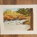 Image client Set de pinceaux - Aquarelle n°2 (5 pcs)