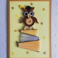 Image client Bandes de papier 160 x 3 mm - mélange de 400 pcs. 130g/m²
