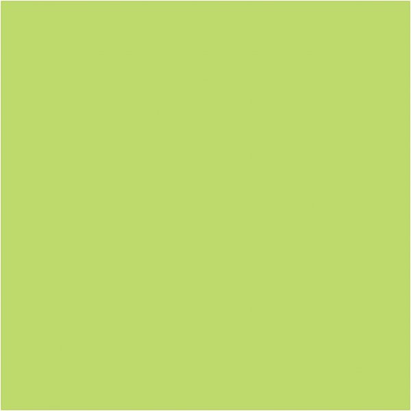 Carton color - vert clair - A2 - 180 g - 100 feuilles